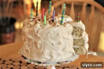 Kids in the Kitchen Seven Minute Classic Birthday Cake Frosting 1 featured 10119