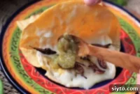 My First Grasshopper Meal