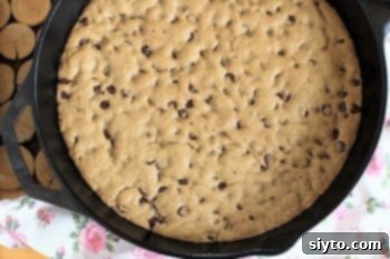 Bake a Giant Chocolate Chip Skillet Cookie with Your Little Chefs 1 featured 11343