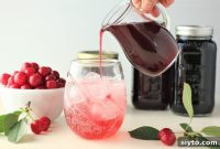 Evans Sour Cherry Shrub Old Fashioned Drinking Vinegar