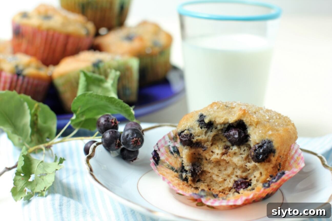 Whisper-Soft Saskatoon Muffins 1 featured 17751