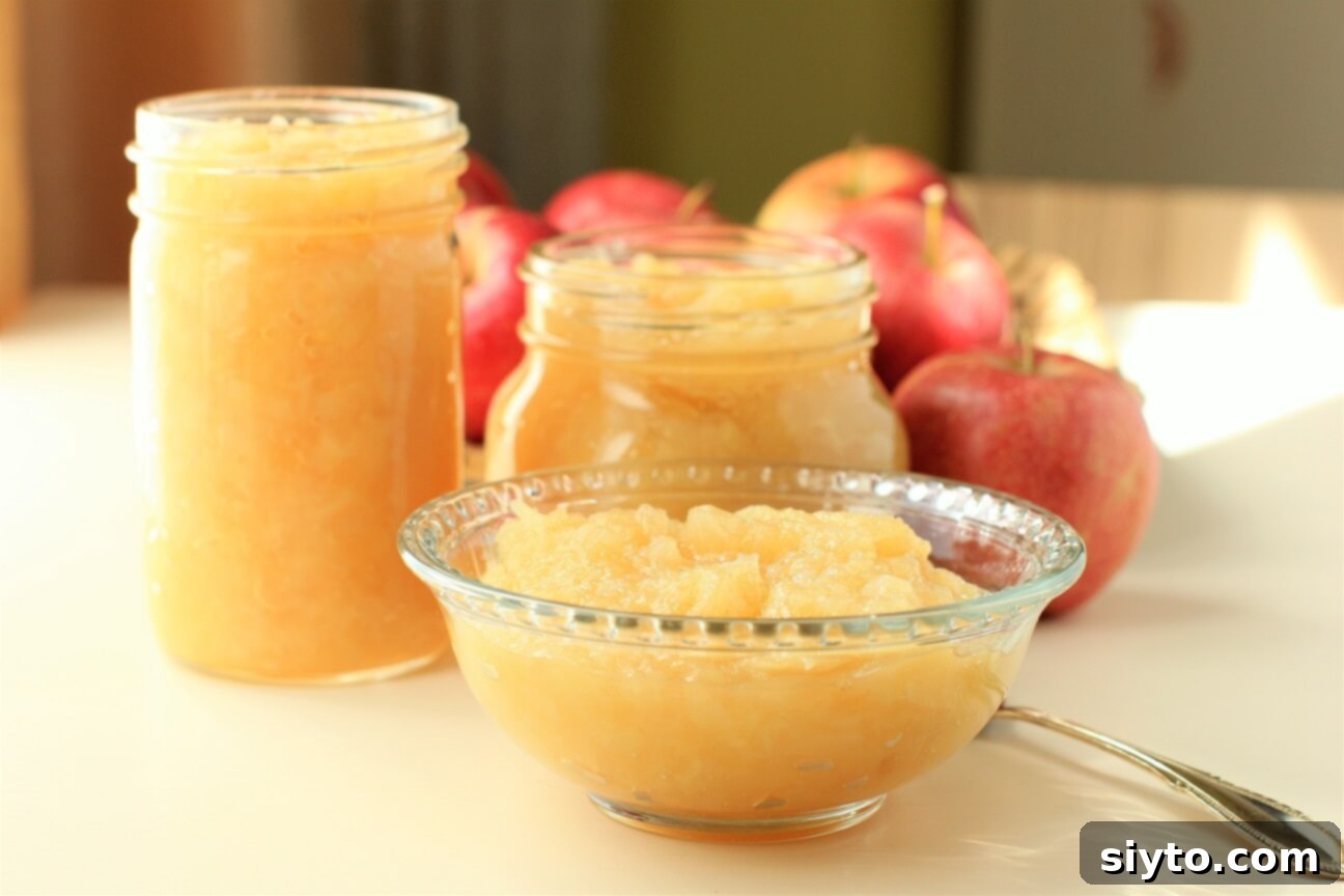Instant Pot Applesauce No Added Sugar Plus a Kiwi Twist 1 featured 20699