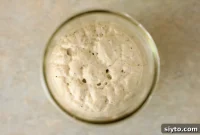 Mastering Your Gluten Free Sourdough Starter