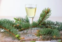 Spruce Tip Liqueur and Creative Cocktails