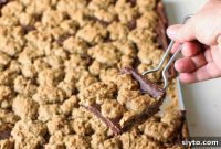 Rich Chewy Oat Fudge Bars