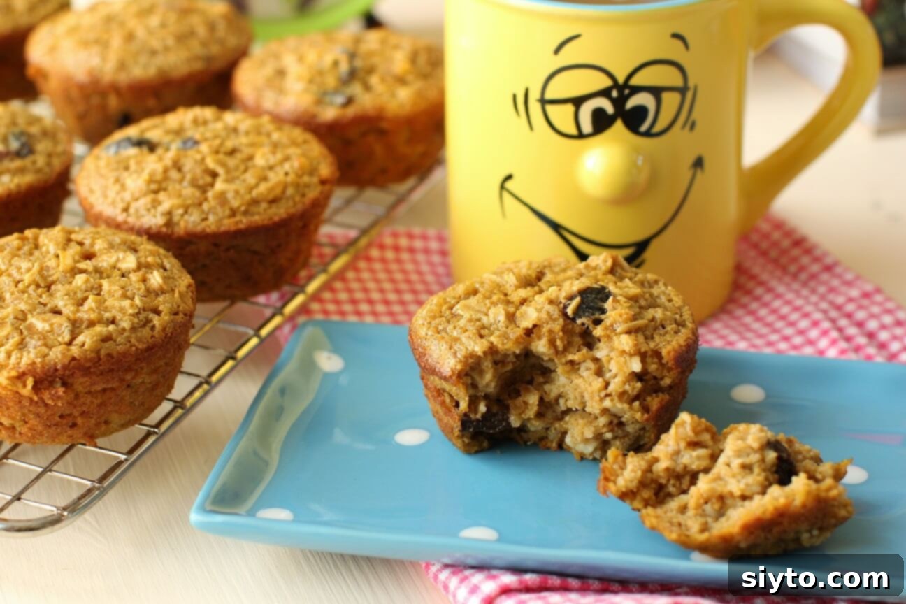 Handheld Harvest Pumpkin Oatmeal Muffins 1 featured 22728