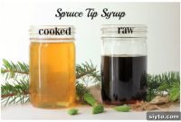 Spruce Tip Syrup 2 Ways
