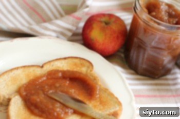 Sweet and Spicy Apple Butter: Preserving Canada's Culinary Tradition 1 featured 2898