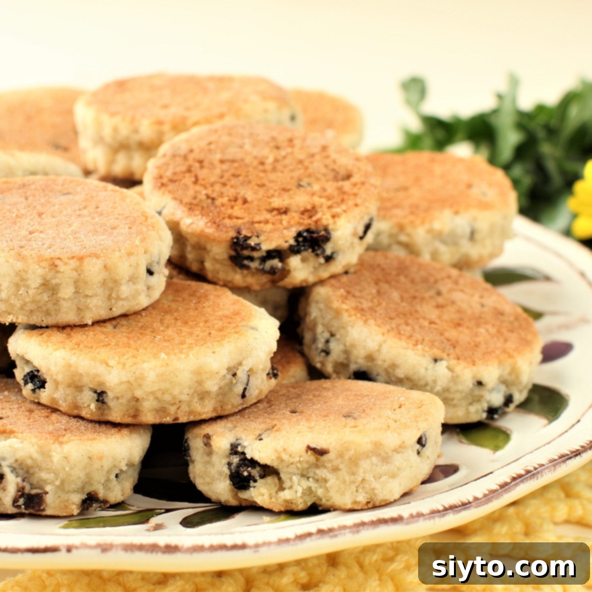 Welsh Cakes: Your Sweet Escape to Wales 1 featured 29272