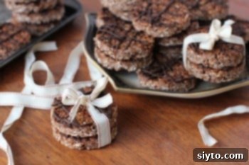 Choco-Crisps Oaty Chocolate Cookies 1 featured 3326