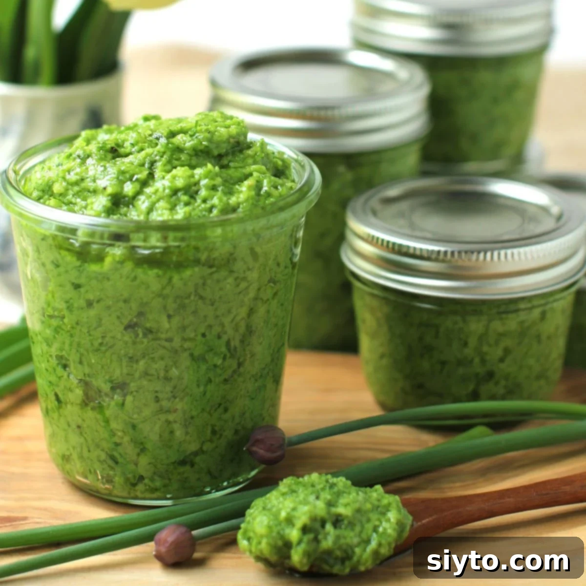 Chive Pesto: A Spring Garden Delight 1 featured 33524