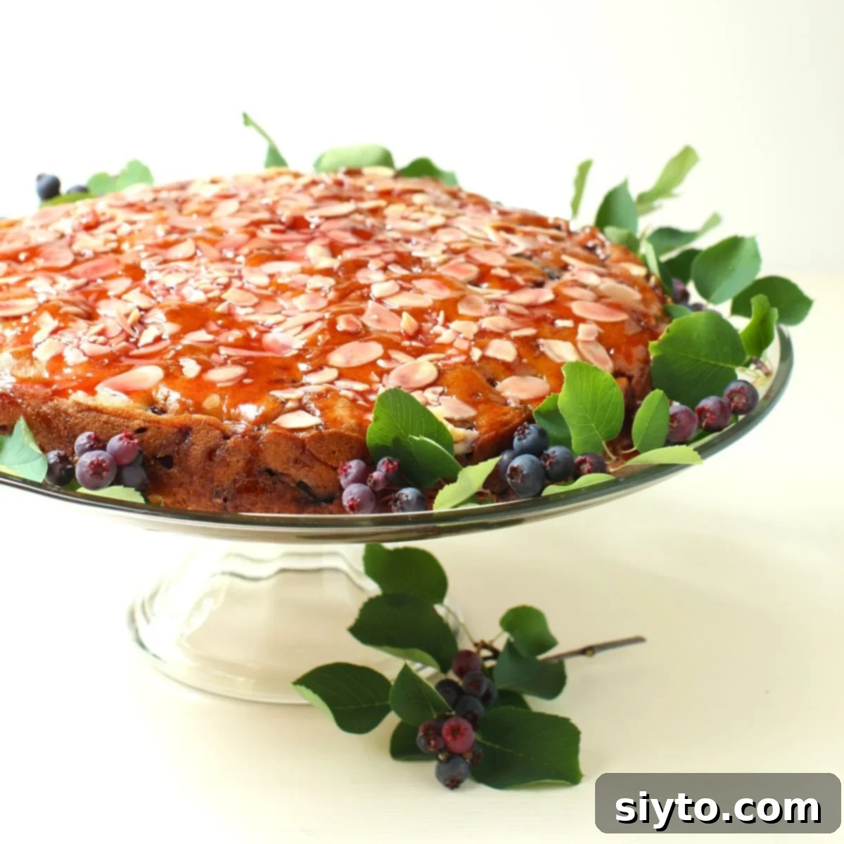 Saskatoon Berry Drizzle Cake 1 featured 34032