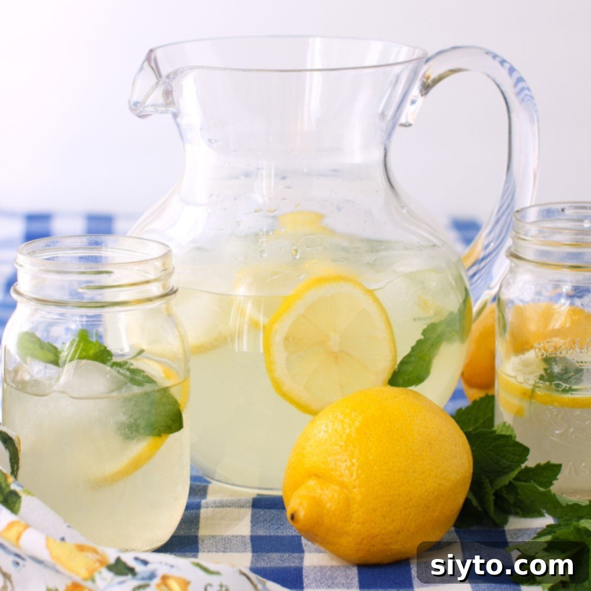 Sunshine and Lemonade Picnics 1 featured 36174