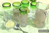 From European Adventures To Summer Sips Chia Limeade