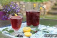 Saskatoon Juice: Effortless Berry Cleaning