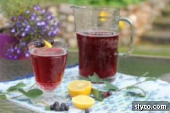 Saskatoon Juice: Effortless Berry Cleaning 1 featured 4789