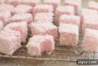 Kids’ Kitchen Creations: Raspberry Honey Marshmallows and Instant Hot Cocoa Mix