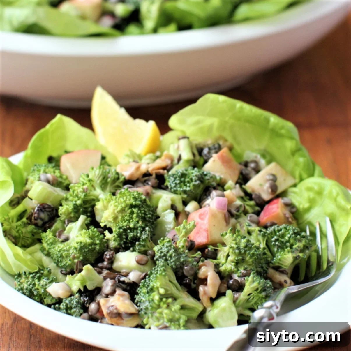 Broccoli Lentil Salad Bringing Spring Freshness to Winter 1 featured 6027