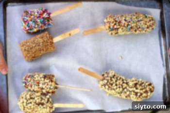 Frozen Chocolate Banana Delights Kids Will Love 1 featured 6828