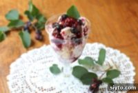 Saskatoon Rhubarb Prairie Mess