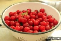 Mastering Evans Cherry Pitting