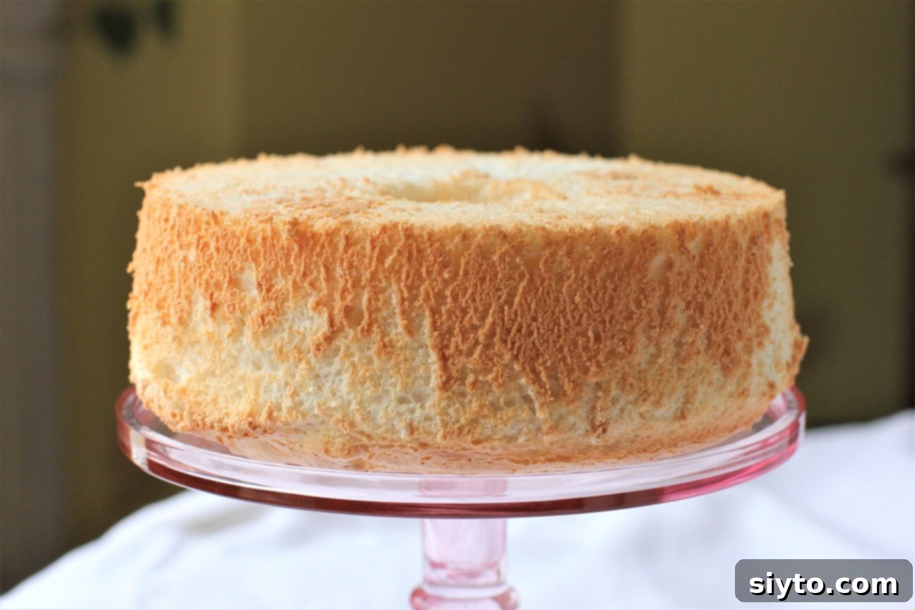 Gluten Free Angel Food Cake A Timeless Delight 1 featured 7772