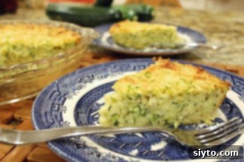 Zucchini Monster Recipes Crustless Pie and Fritters 1 featured 796