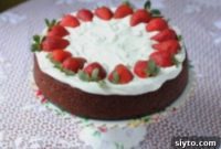 Velvety Strawberry Dream