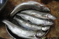From Lake to Plate Fresh Trout Morels and Bannock