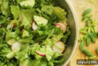 Green Salad with Fresh Spruce Tips for a Spring Delight