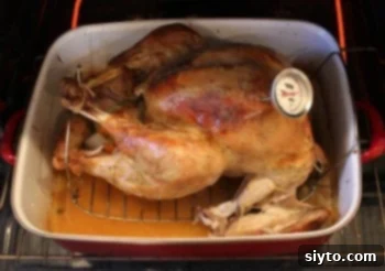 Sweet & Savory Maple Mustard Turkey with Gravy So Good It's Sinful 1 featured 994