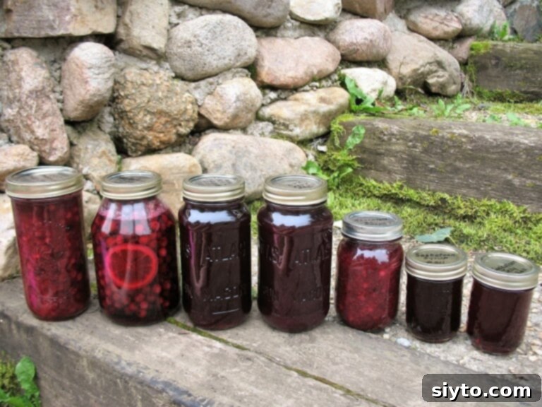 Saskatoon Berries: All Ways Delicious 7 Rows of freshly canned saskatoons and saskatoon-peach preserves in glass jars on a kitchen counter, showcasing a bountiful harvest