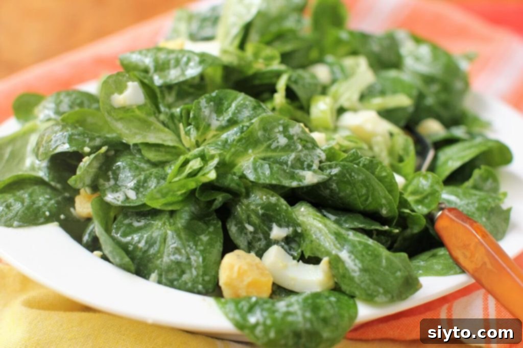 Swiss green salad with chopped eggs and creamy vinaigrette
