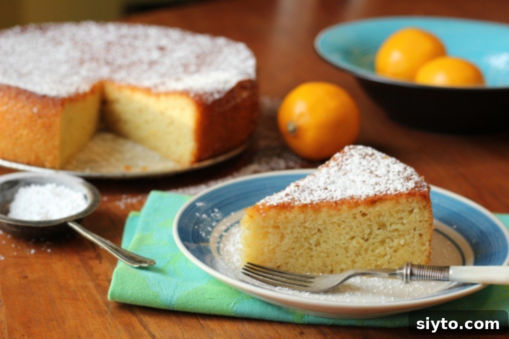 luscious lemon, almond flour, and olive oil cake