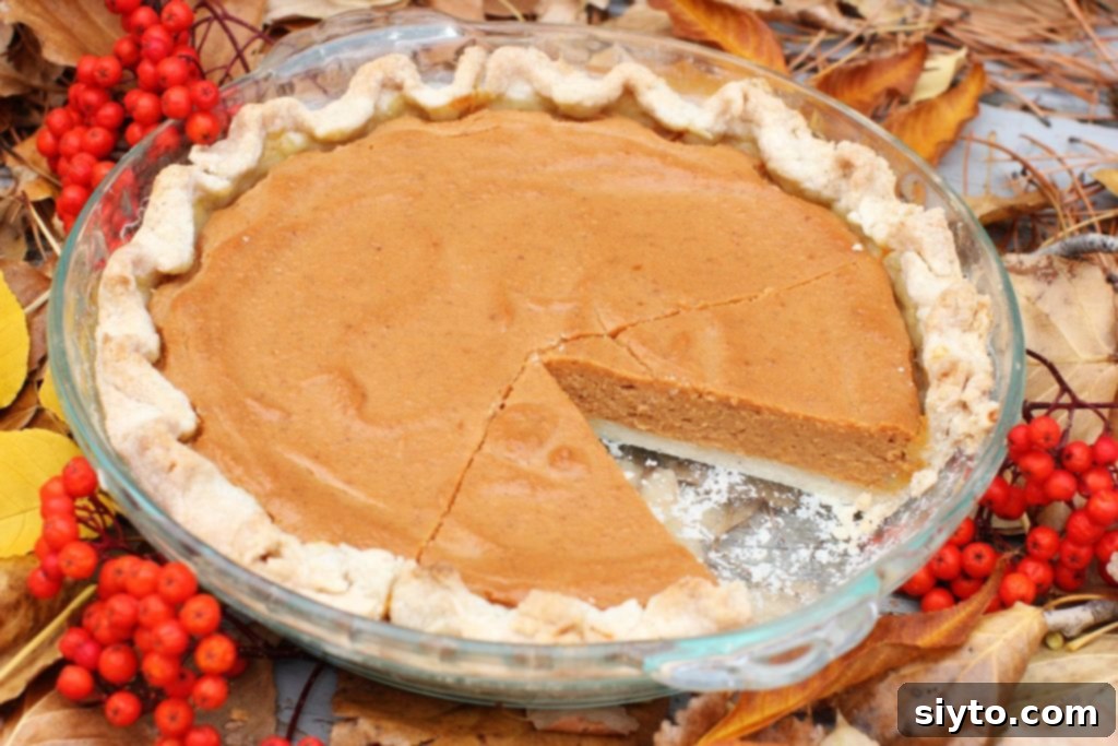 Christmas Baking; allergy friendly pumpkin pie