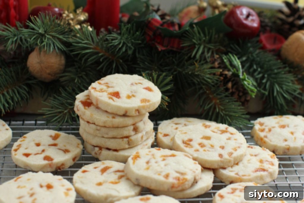 Apricot Harlequin Cookies; gluten free Christmas baking 