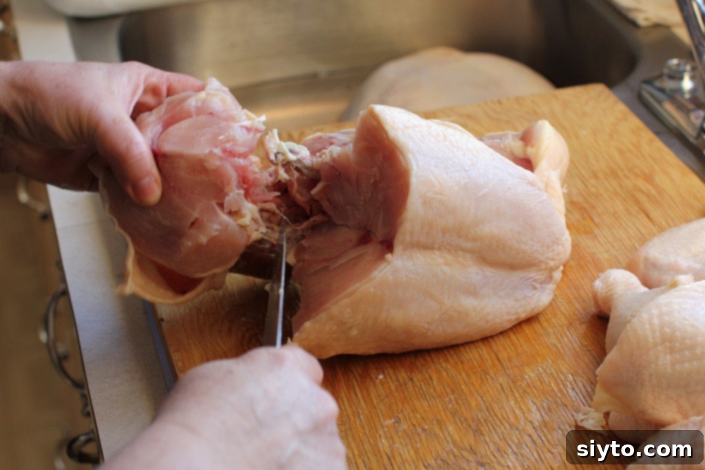 The chicken wishbone piece separated from the main carcass.