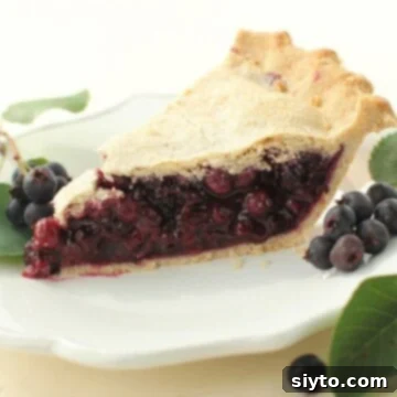 close up of a piece of saskatoon pie