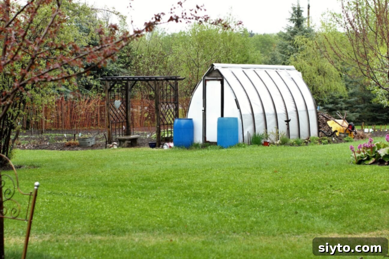 greenhouse and arbour in the rain