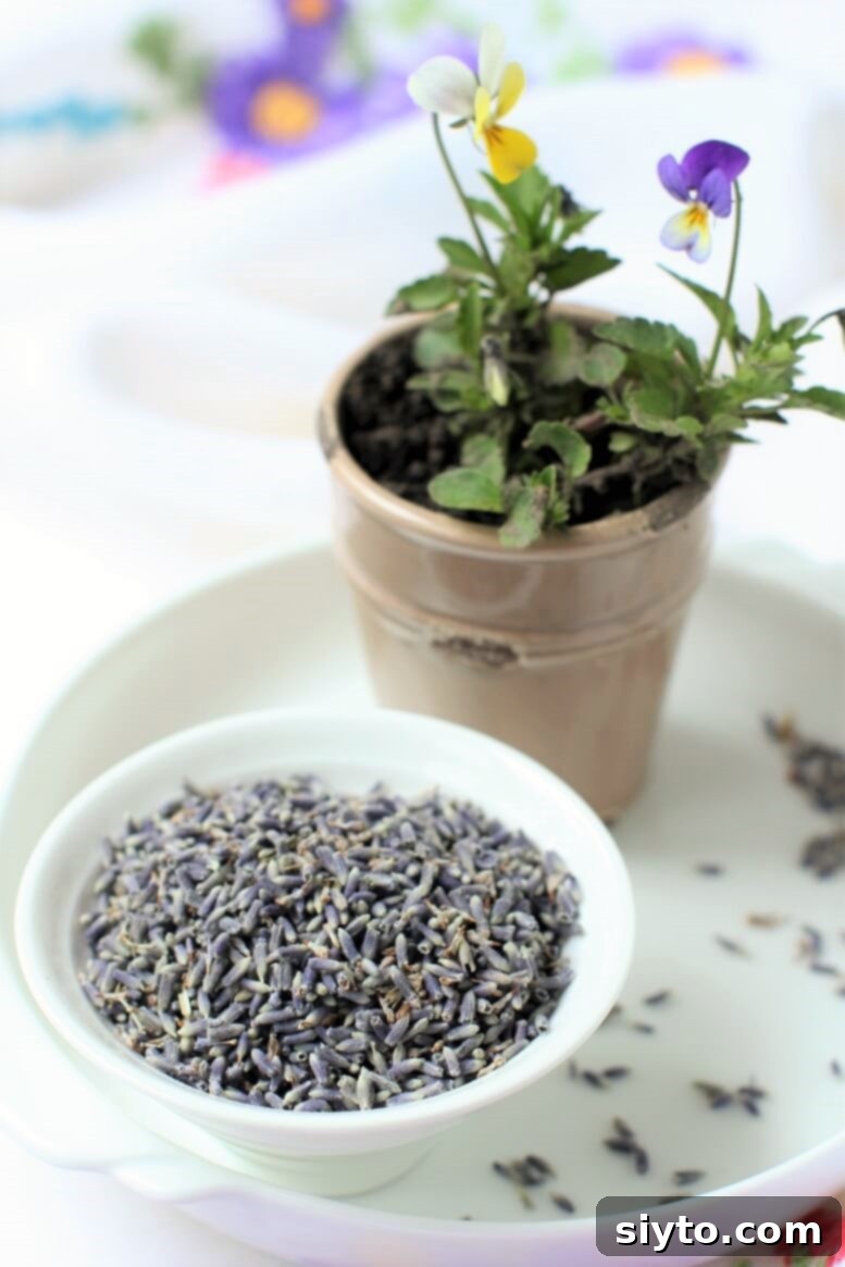 a little bowl of lavender and a viola plant
