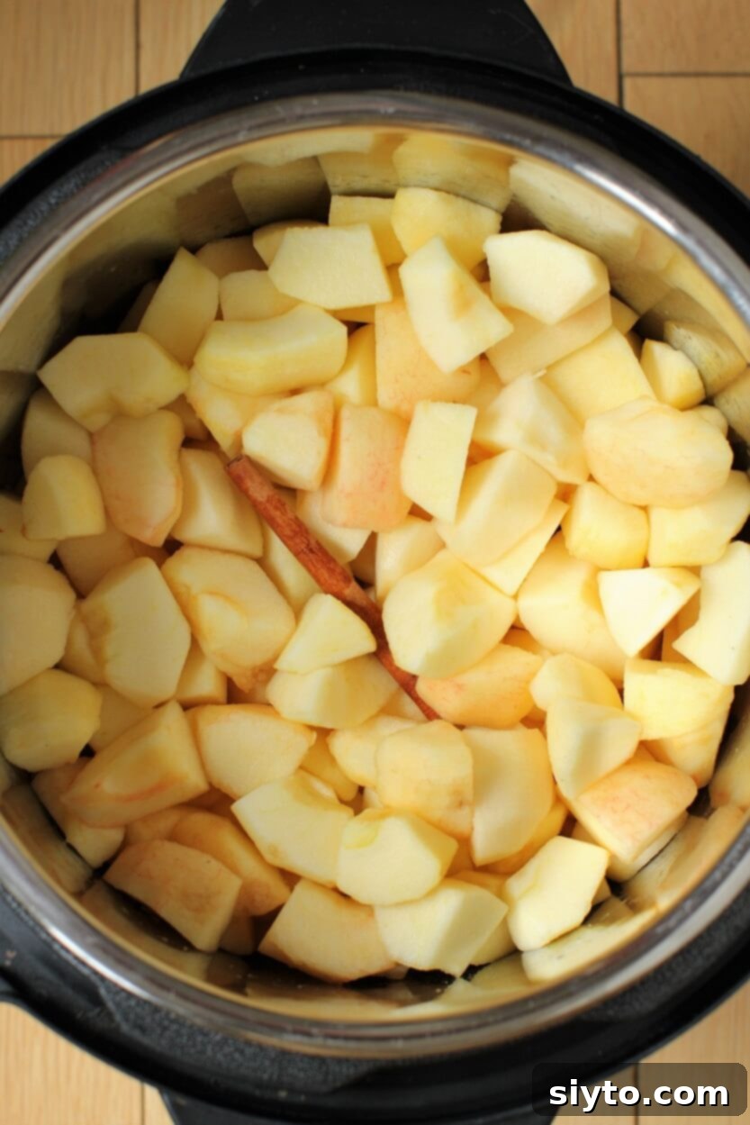 Instant Pot Applesauce No Added Sugar Plus a Kiwi Twist 6 Peeled and chopped apple chunks neatly arranged in the Instant Pot, ready for cooking.