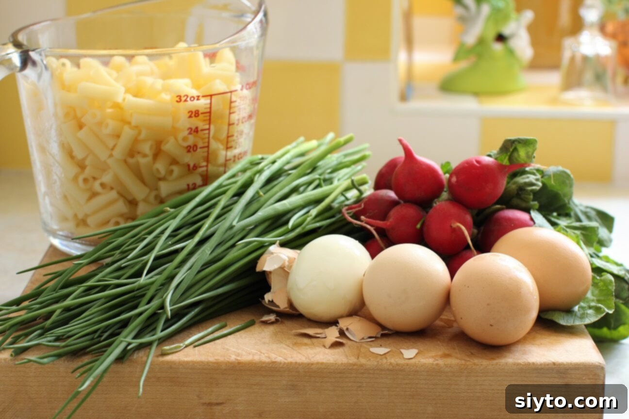 Ingredients for Chive & Egg Pasta Salad laid out: pasta, eggs, radishes, and a large bunch of chives.