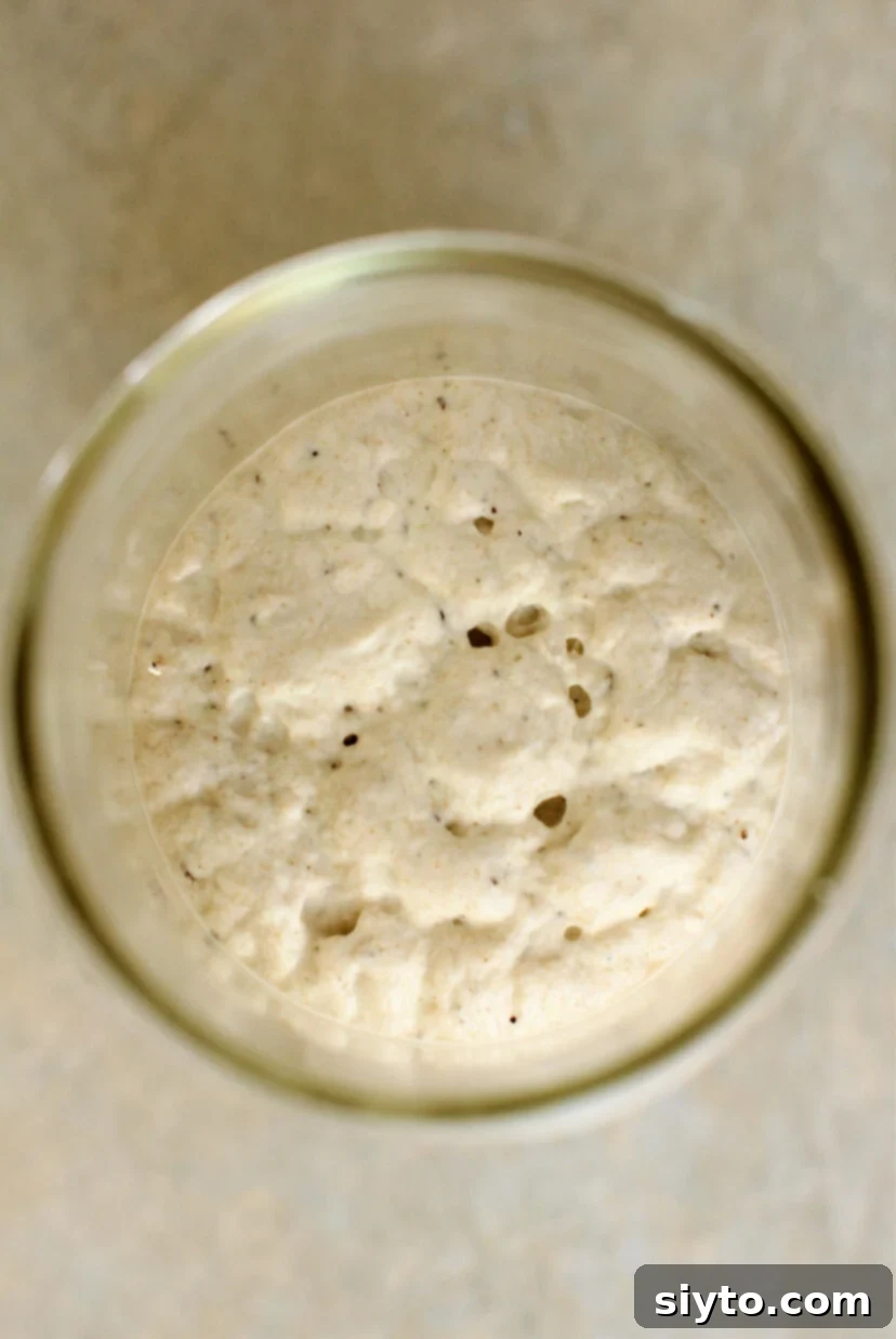 top down view of bubbling gluten free sourdough starter, almost fully risen