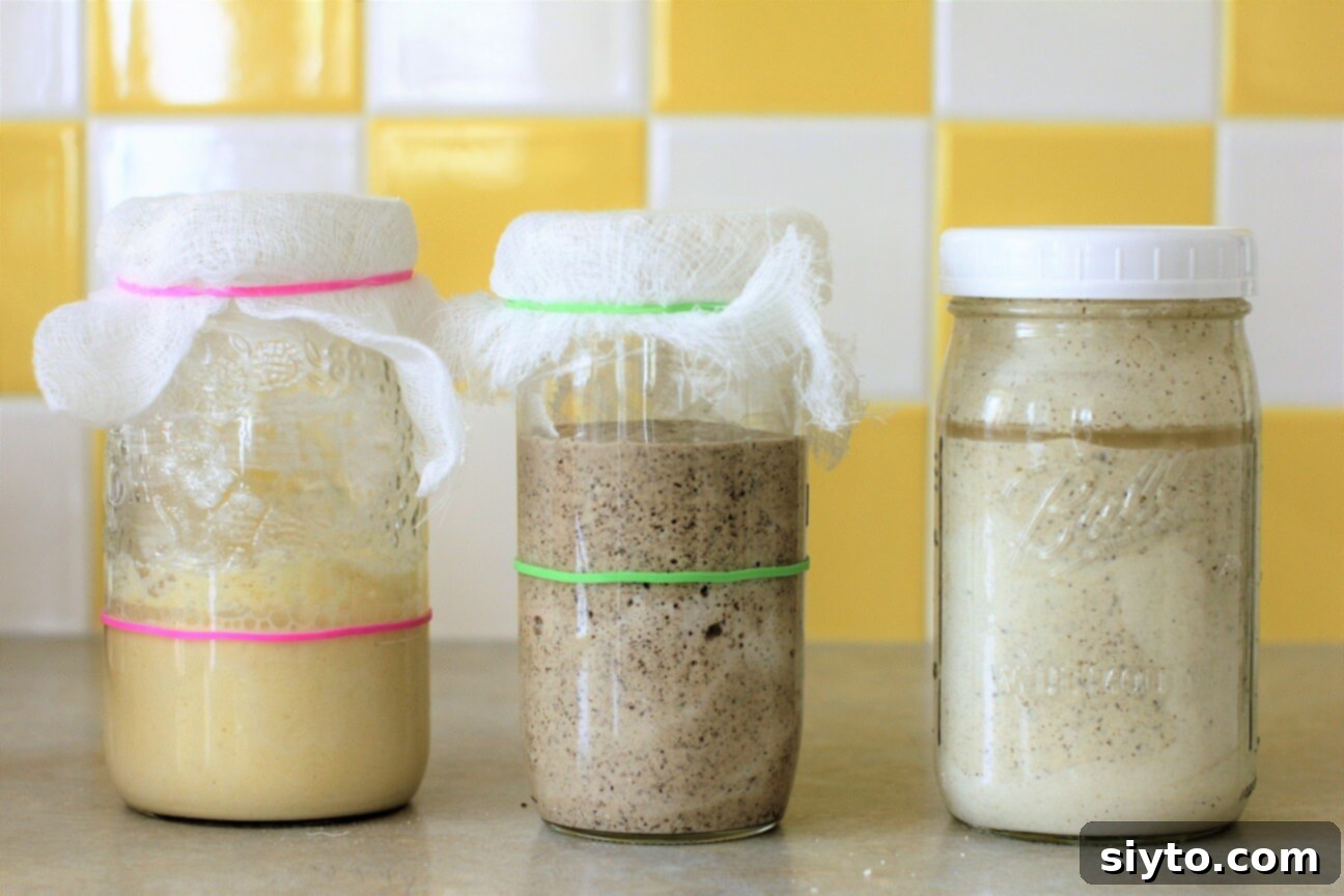 jar of corn flour gluten free sourdough starter, then dark buckwheat flour, then a jar of the discard
