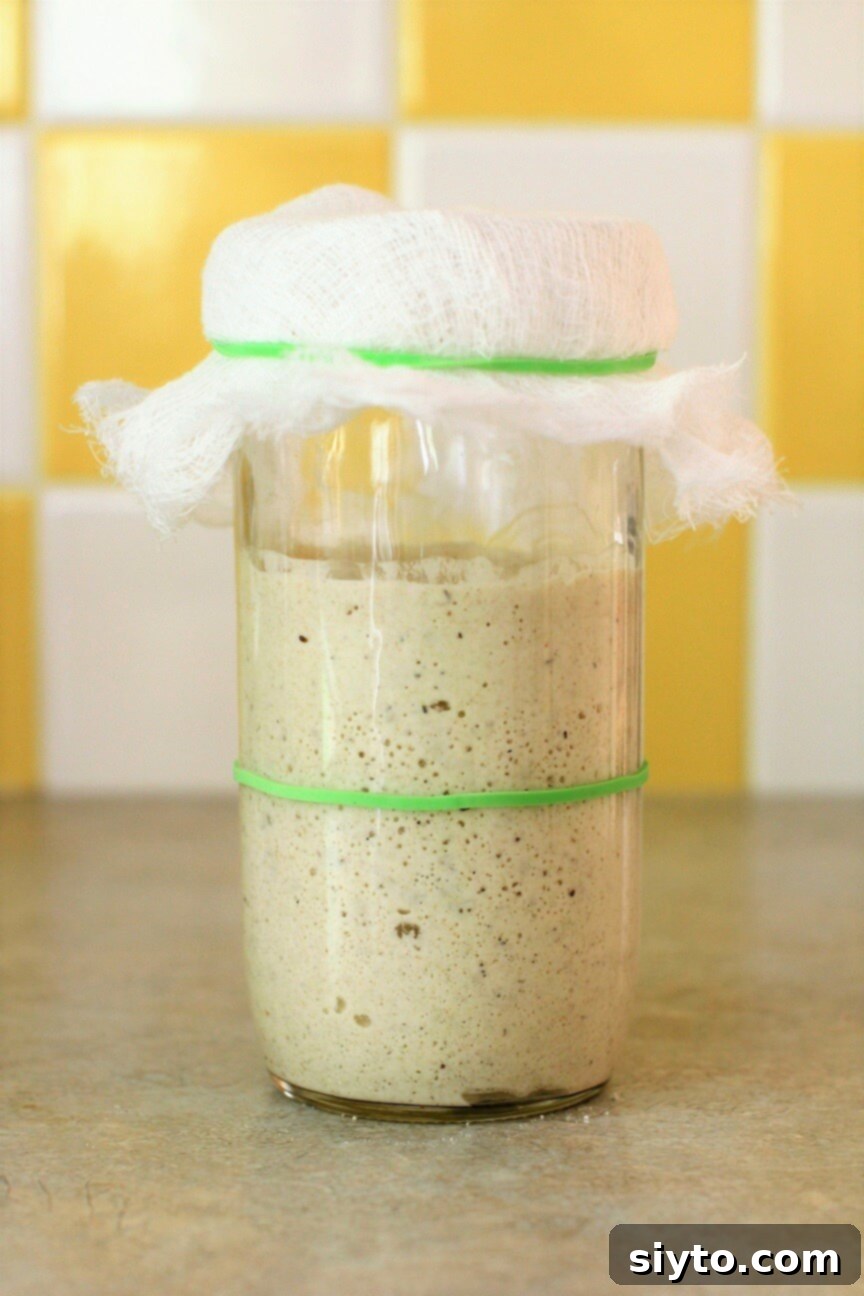 gluten free sourdough starter ready to be fed