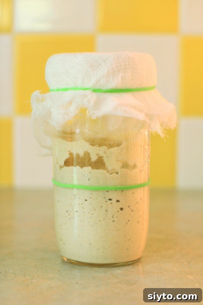 sourdough starter has risen and fallen and is ready to feed - you can see the level it had risen to