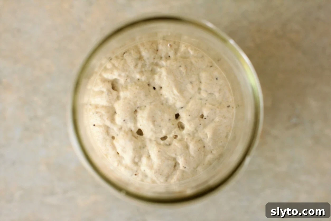 bubbling gluten free sourdough starter made with light buckwheat flour