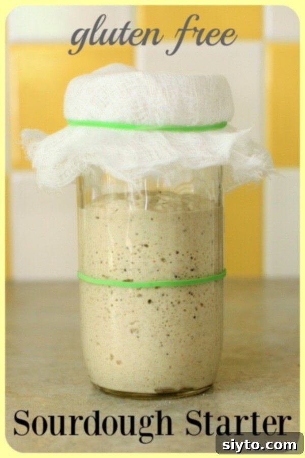 Gluten Free Sourdough Starter Banner