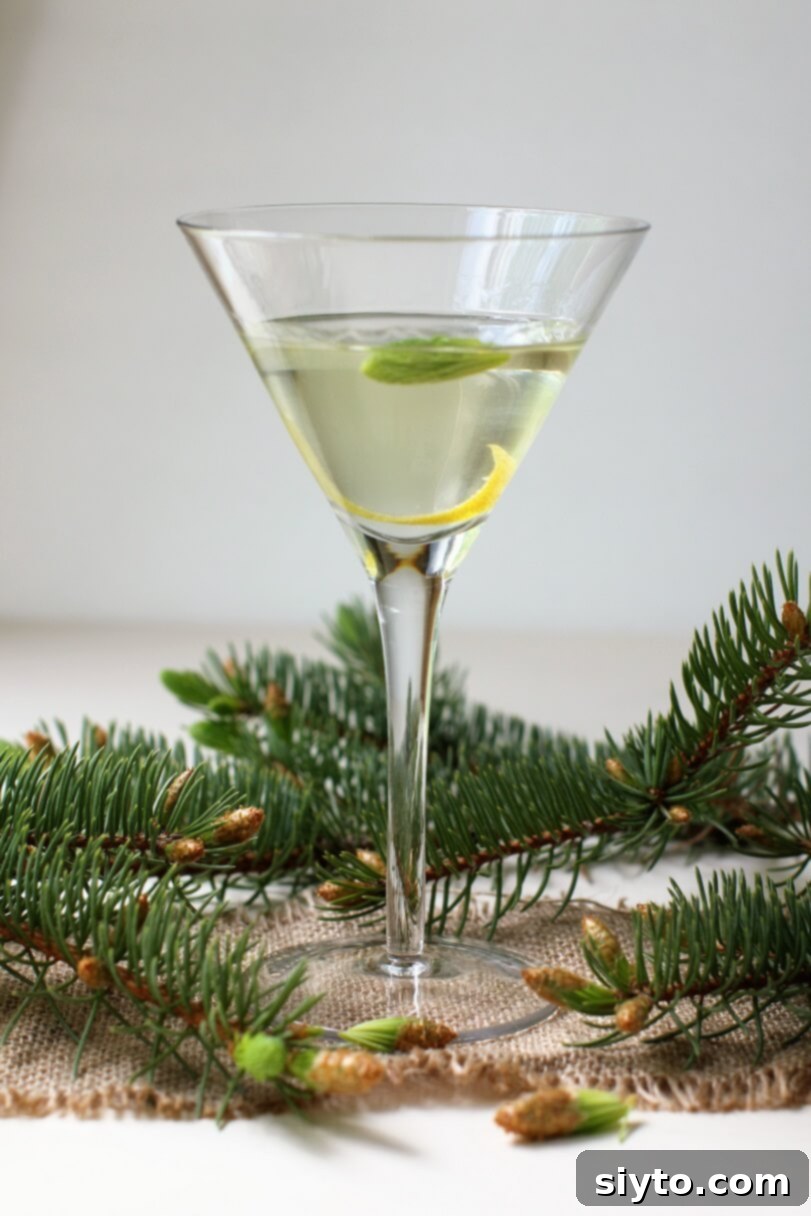 a spruce tip martini in a martini glass