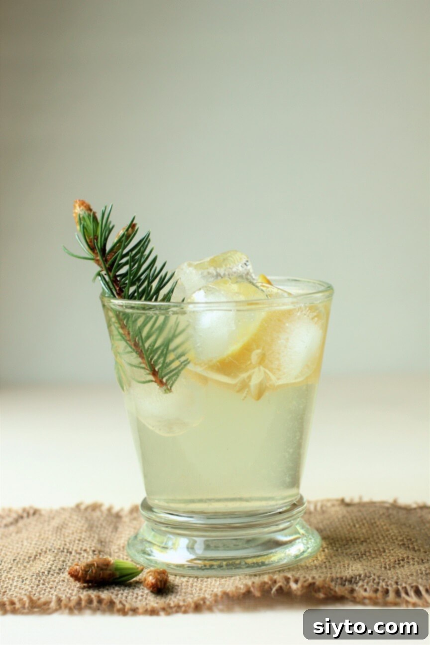 a glass of 'Forest Cocktail' made with spruce tip liqueur, lemon, and soda, with a spruce twig for garnish